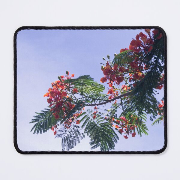 Item preview, Royal Poinciana tree designed and sold by ROSE ANN BANILAR.