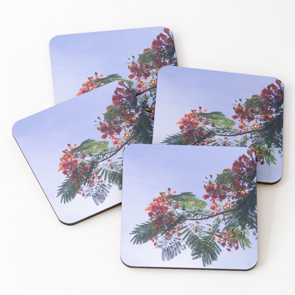 Item preview, Royal Poinciana tree designed and sold by ROSE ANN BANILAR.