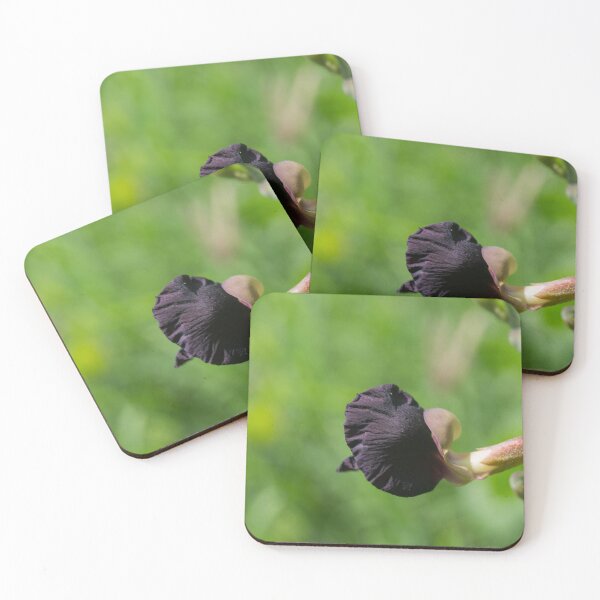 Item preview, Purple Bush-bean designed and sold by ROSE ANN BANILAR.