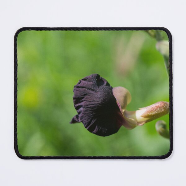 Item preview, Purple Bush-bean designed and sold by ROSE ANN BANILAR.