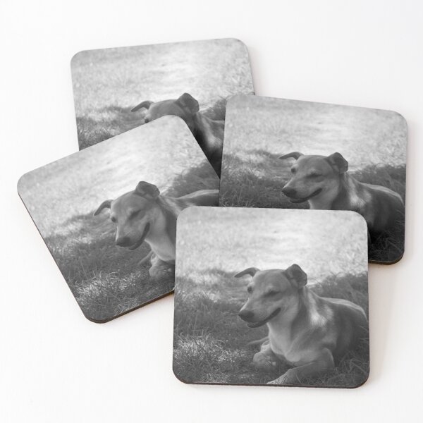 Item preview, B&W - Aspin designed and sold by ROSE ANN BANILAR.