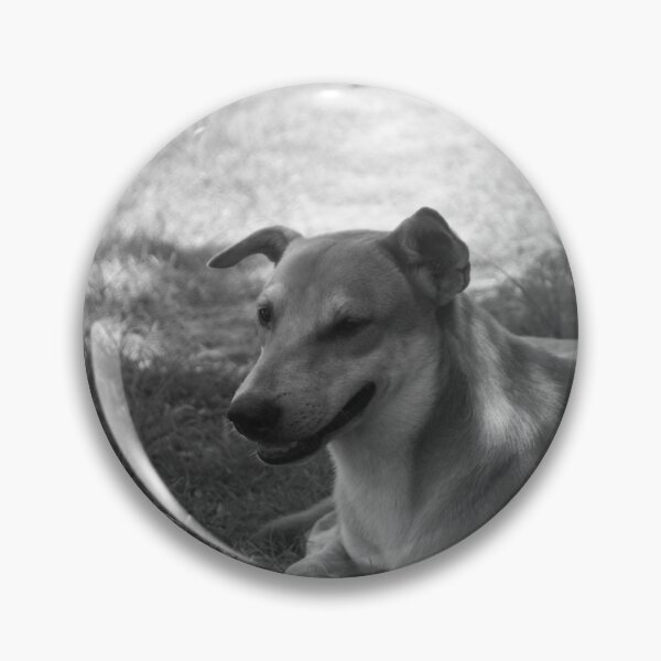 Item preview, B&W - Aspin designed and sold by ROSE ANN BANILAR.