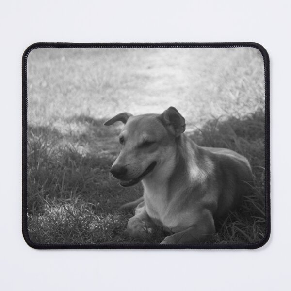 Item preview, B&W - Aspin designed and sold by ROSE ANN BANILAR.