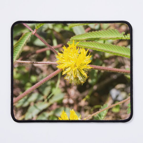 Item preview, Yellow Puff designed and sold by ROSE ANN BANILAR.