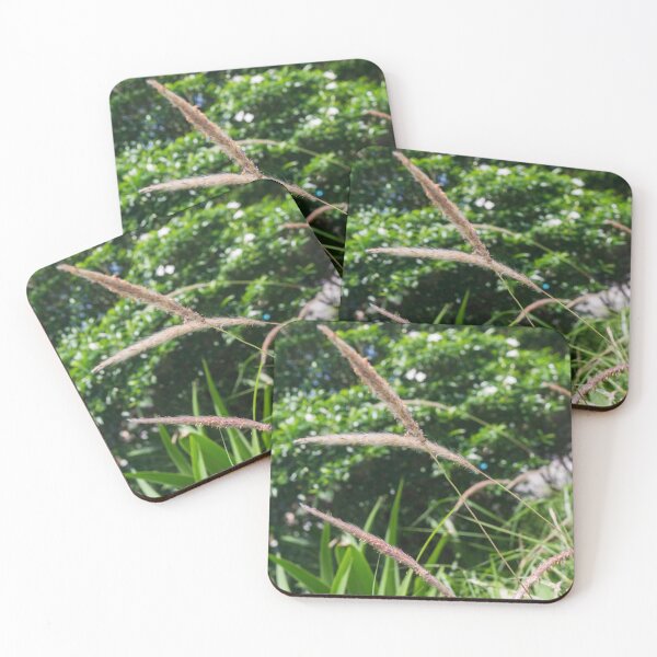 Item preview, Feathery, Brush-like Grasses designed and sold by ROSE ANN BANILAR.