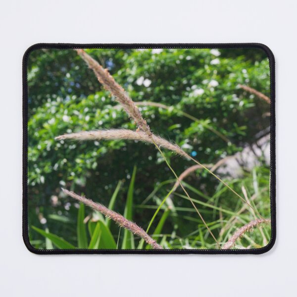 Item preview, Feathery, Brush-like Grasses designed and sold by ROSE ANN BANILAR.