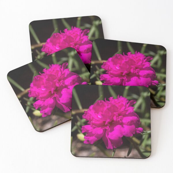Item preview, Portulaca grandiflora designed and sold by ROSE ANN BANILAR.