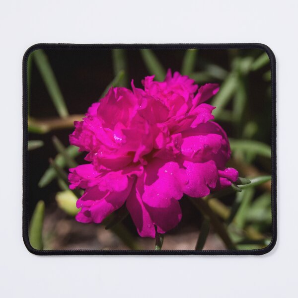 Item preview, Portulaca grandiflora designed and sold by ROSE ANN BANILAR.