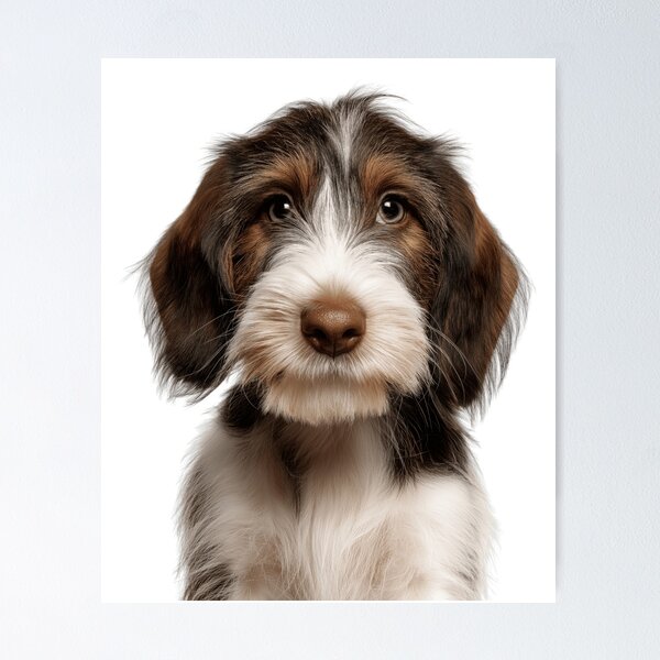 Item preview, Adorable Petit Basset Griffon Vendéen puppy for Cute Petit puppy lovers designed and sold by LazyOwlStore.