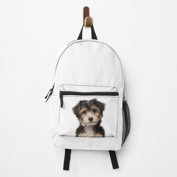 Item preview, Adorable Löwchen puppy for Cute Lowchen puppy lovers designed and sold by LazyOwlStore.