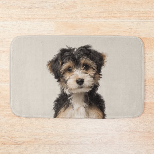 Item preview, Adorable Löwchen puppy for Cute Lowchen puppy lovers designed and sold by LazyOwlStore.