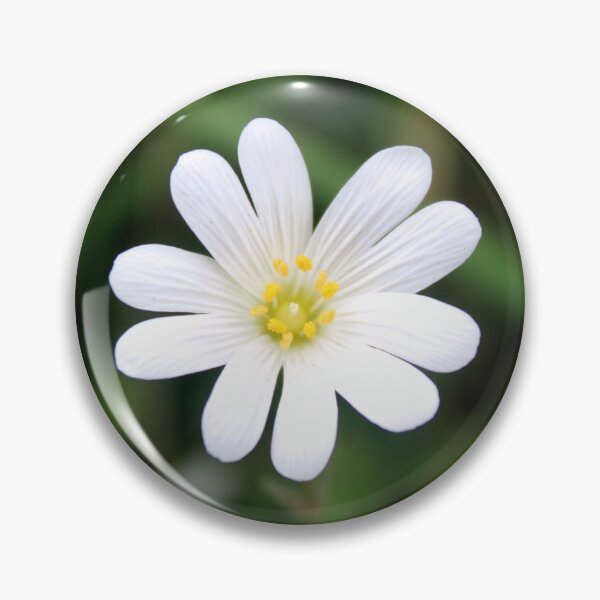 Item preview, spring flower designed and sold by KathleenDawson.
