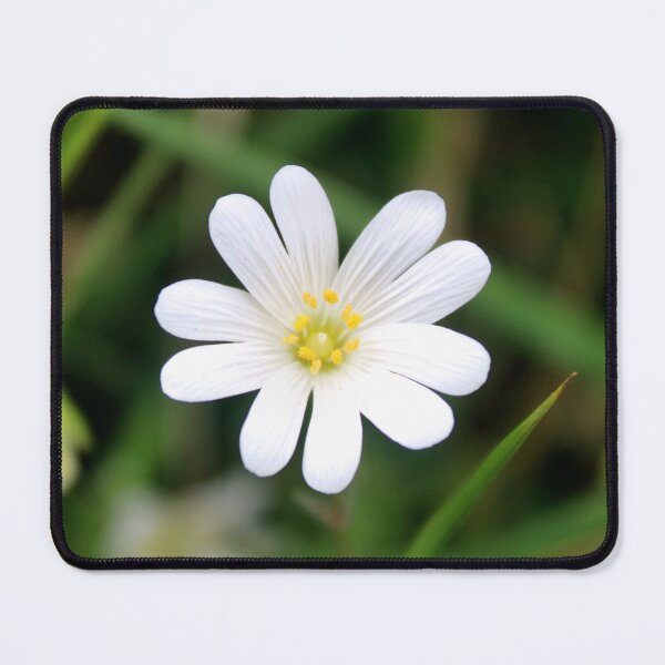 Item preview, spring flower designed and sold by KathleenDawson.