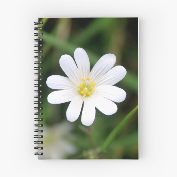 Item preview, spring flower designed and sold by KathleenDawson.