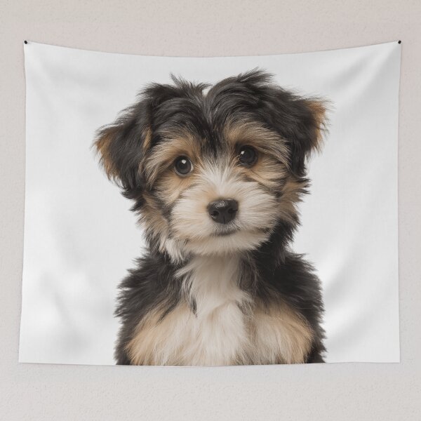 Item preview, Adorable Löwchen puppy for Cute Lowchen puppy lovers designed and sold by LazyOwlStore.