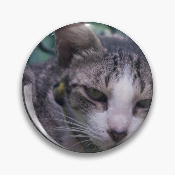 Item preview, Watchful Kitty designed and sold by ROSE ANN BANILAR.