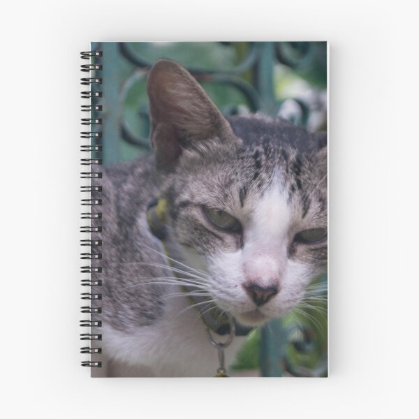 Item preview, Watchful Kitty designed and sold by ROSE ANN BANILAR.