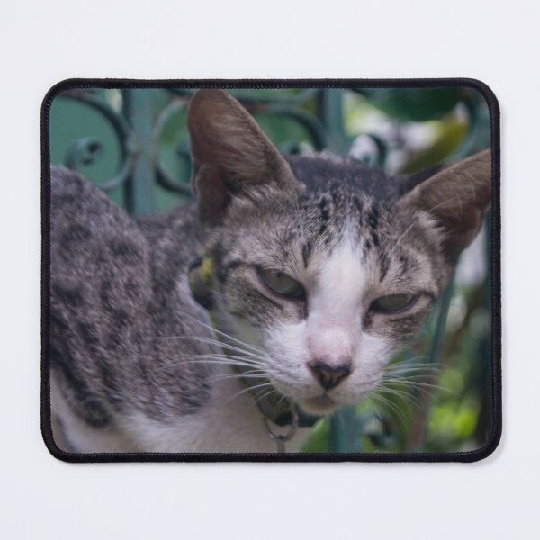 Item preview, Watchful Kitty designed and sold by ROSE ANN BANILAR.