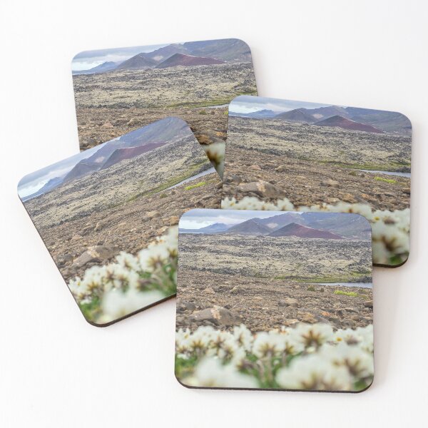 Item preview, Where Wildflowers Persist  designed and sold by QuietWonderCo.