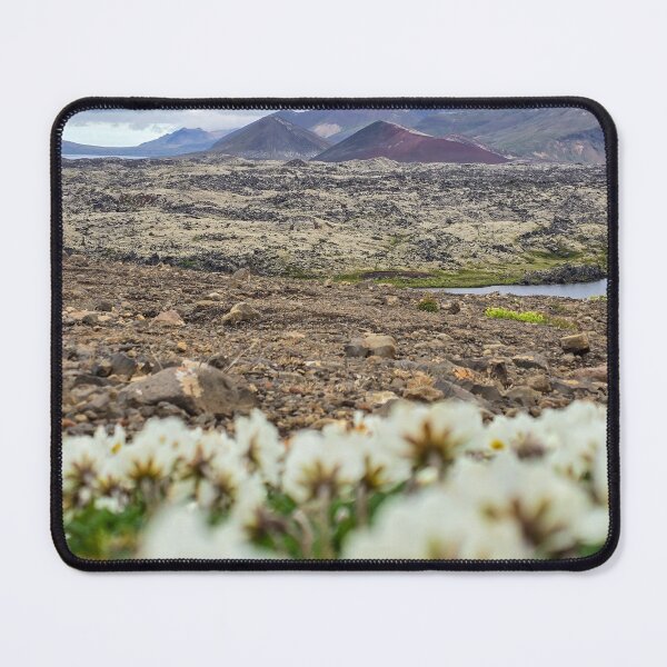 Item preview, Where Wildflowers Persist designed and sold by QuietWonderCo.