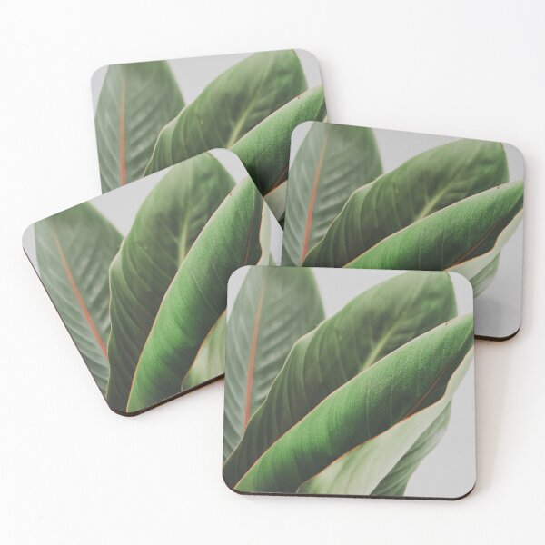 Item preview, Minimalist Strelitzia Leaves Art designed and sold by ReneJordaan.