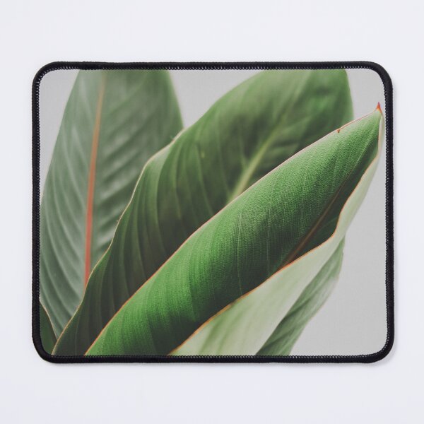 Item preview, Minimalist Strelitzia Leaves Art designed and sold by ReneJordaan.