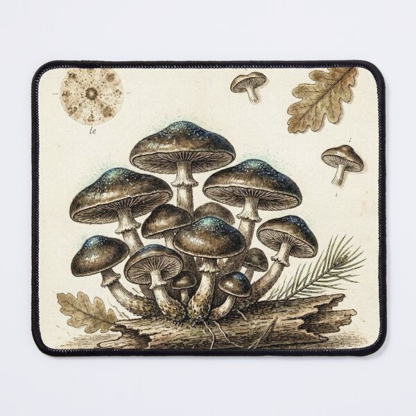 Item preview, Midnight Herbarium I – Enchanted Mushrooms designed and sold by Roberta Calabrese.