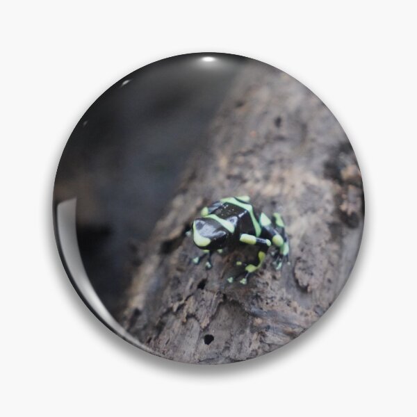 Item preview, Black And Green Tree Frog designed and sold by Malcolm Snook.