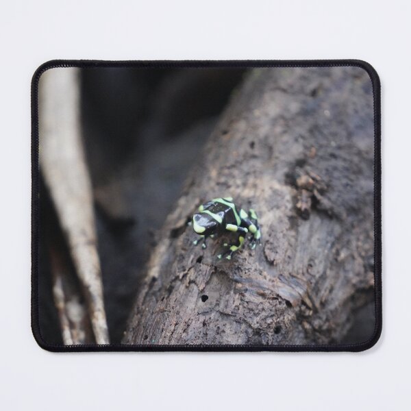Item preview, Black And Green Tree Frog designed and sold by Malcolm Snook.
