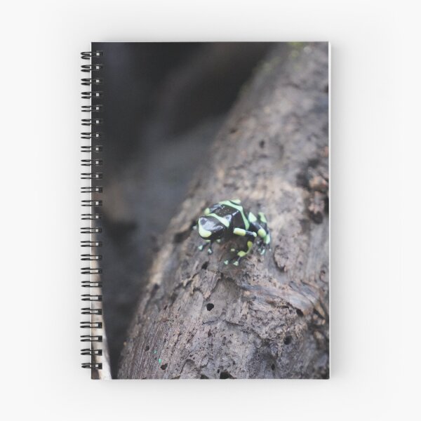 Item preview, Black And Green Tree Frog designed and sold by Malcolm Snook.