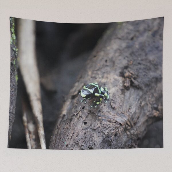 Item preview, Black And Green Tree Frog designed and sold by Malcolm Snook.