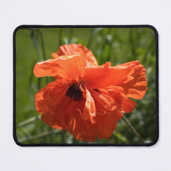 Item preview, Hot Vermilion Poppy Bloom designed and sold by Georgia Mizuleva.