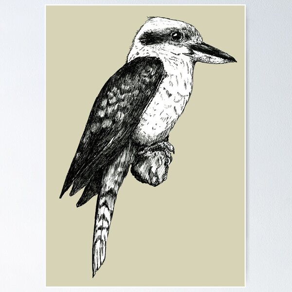 Item preview, KOOKABURRA AUSTRALIANA INK designed and sold by Amanda Webster.