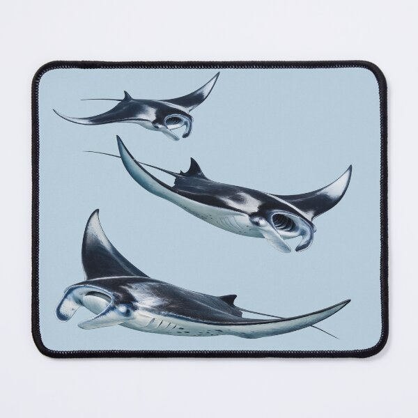 Item preview, Manta Ray designed and sold by Poplartree.
