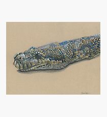 Slithery Snake Photographic Print