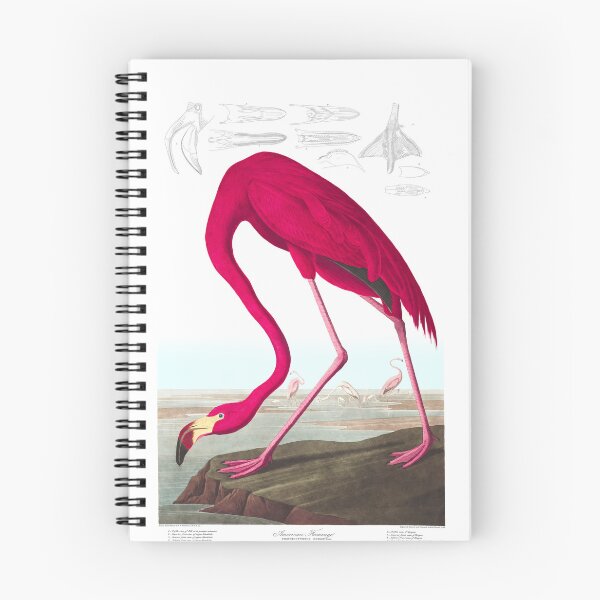 Item preview, Red Flamingo designed and sold by KuduKuat-685.