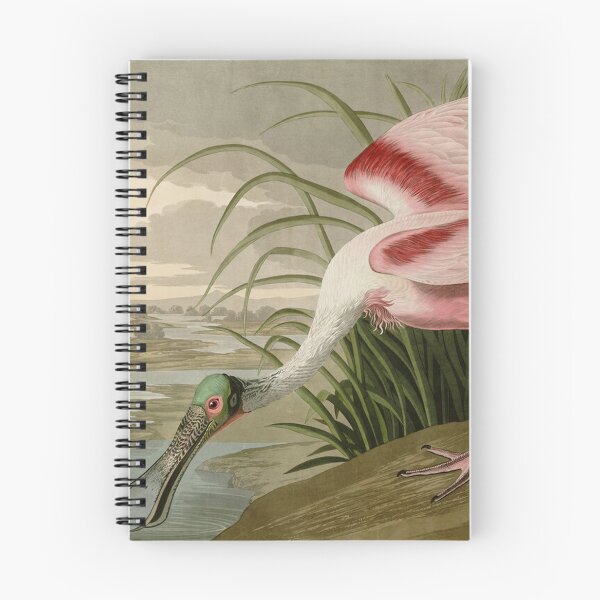 Item preview, Roseate Spoonbill designed and sold by KuduKuat-685.