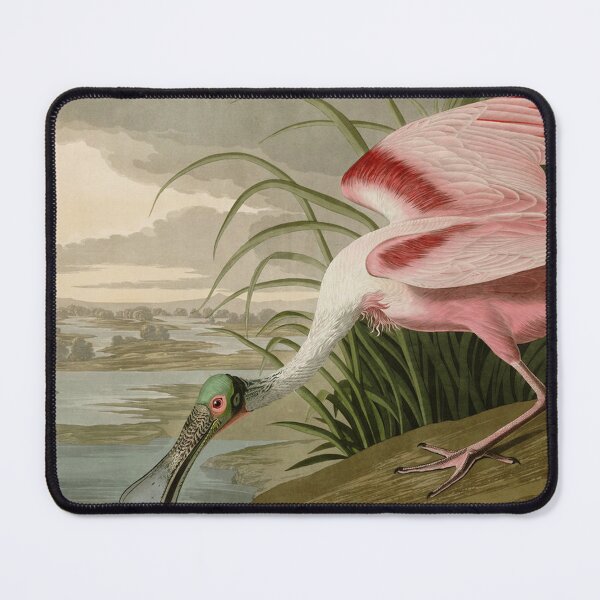 Item preview, Roseate Spoonbill designed and sold by KuduKuat-685.