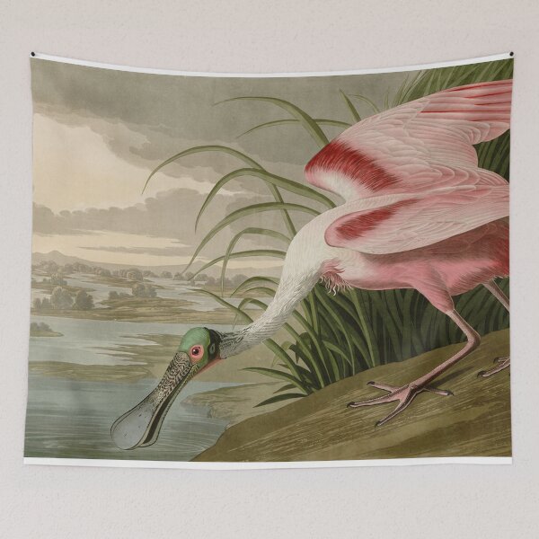 Item preview, Roseate Spoonbill designed and sold by KuduKuat-685.