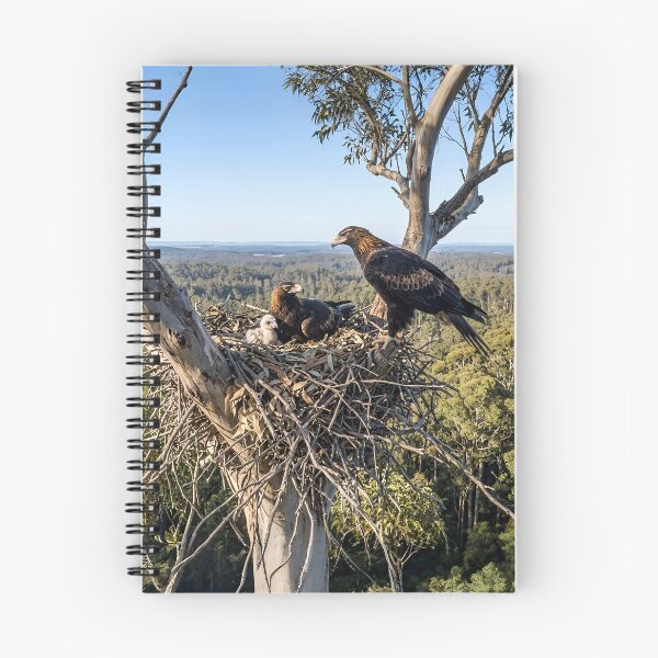 Item preview, Wedge-tailed Eagles designed and sold by pawprintz.