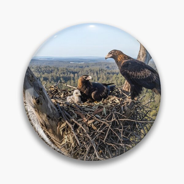Item preview, Wedge-tailed Eagles designed and sold by pawprintz.
