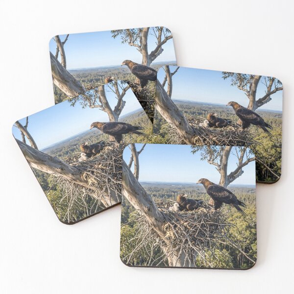 Item preview, Wedge-tailed Eagles designed and sold by pawprintz.