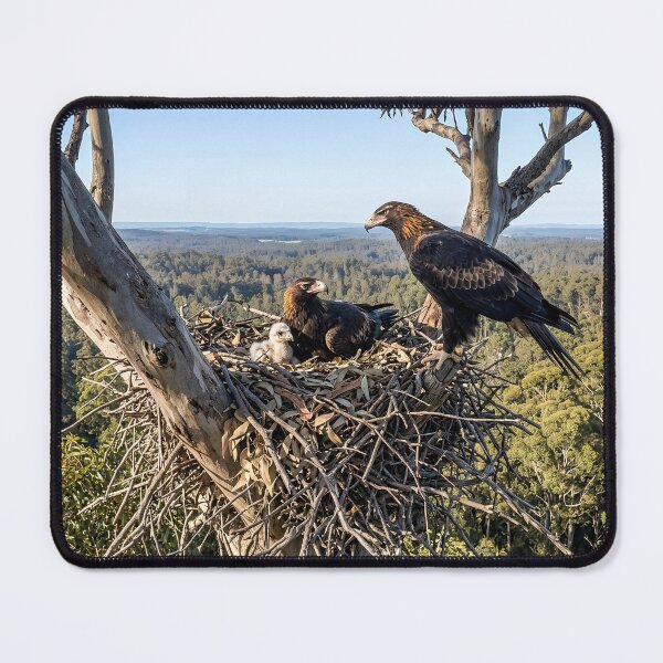 Item preview, Wedge-tailed Eagles designed and sold by pawprintz.