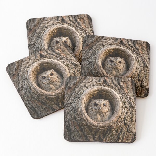 Item preview, Owlet Nightjar designed and sold by pawprintz.
