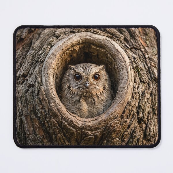 Item preview, Owlet Nightjar designed and sold by pawprintz.