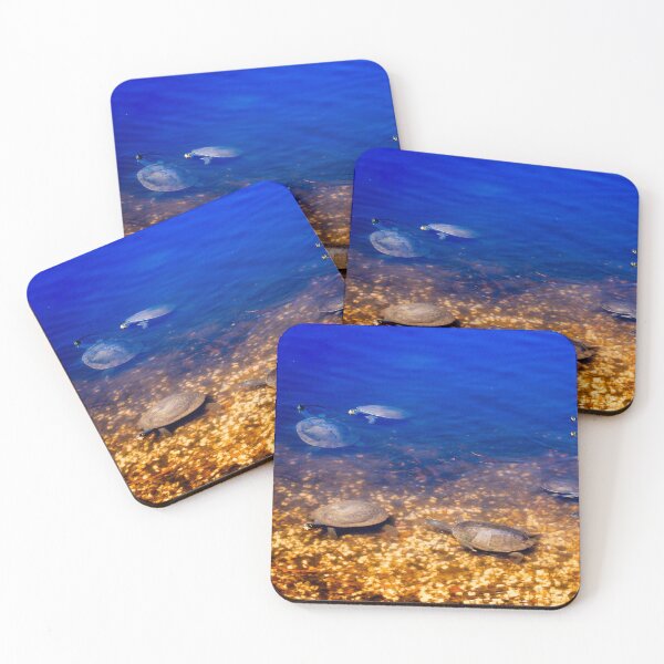 Item preview, Turtles Galore designed and sold by Stephen Jolly Photography.