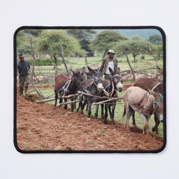 Item preview, Traditional way of ploughing designed and sold by Mmerika.