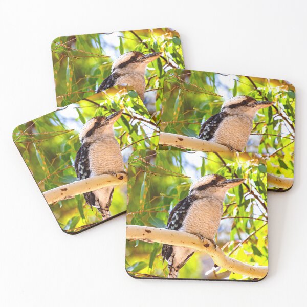 Item preview, Kookaburra designed and sold by Stephen Jolly Photography.
