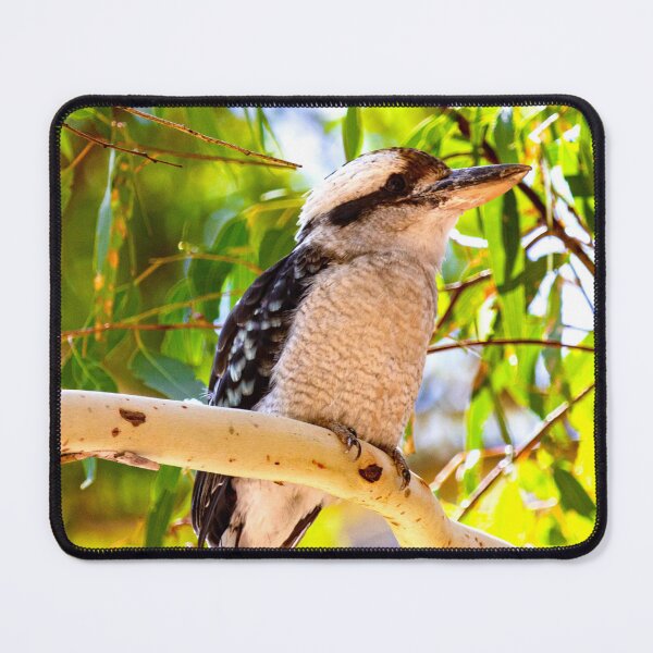 Item preview, Kookaburra designed and sold by Stephen Jolly Photography.