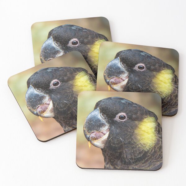 Item preview, Black Cockatoo designed and sold by Stephen Jolly Photography.